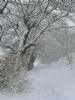 The Stroopy Road in Winter clothing.