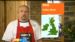 Paul Shepherd on GMTV...