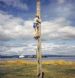 Climbing the Pole on the Links