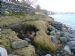 Storm Damage to 'Reeds Park' path
