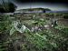 How many other allotments enjoy a view like this?