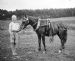 Roallan McBean and Pony