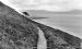A Peek at Cromarty from the South Sutor - 1920??